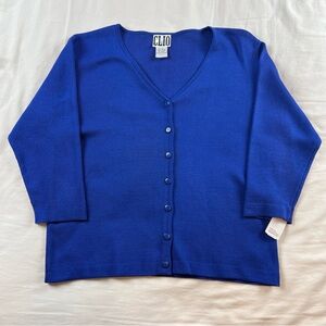 CLIO Silk Cotton Blue Button-Front V-Neck Sweater Top Women’s Large NWT